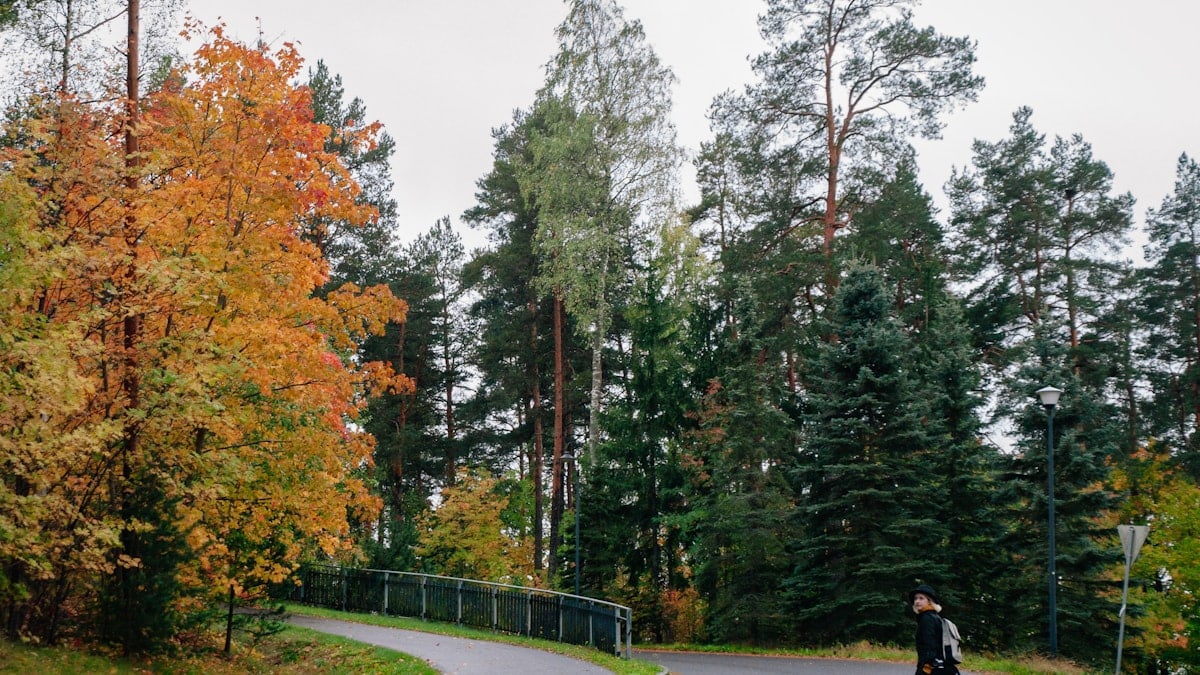 a person riding a skateboard down a road